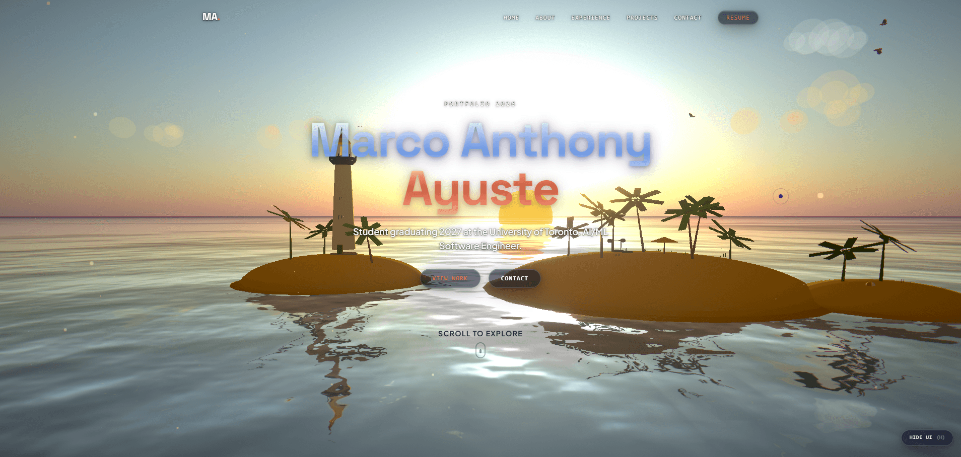 This Portfolio preview